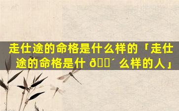 走仕途的命格是什么样的「走仕途的命格是什 🌴 么样的人」